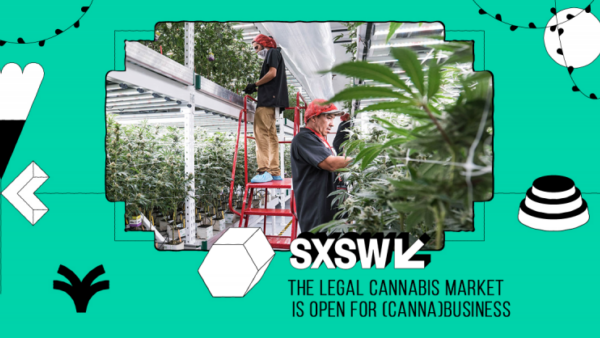 Ldquo high rdquo hopes for the legal cannabusiness en