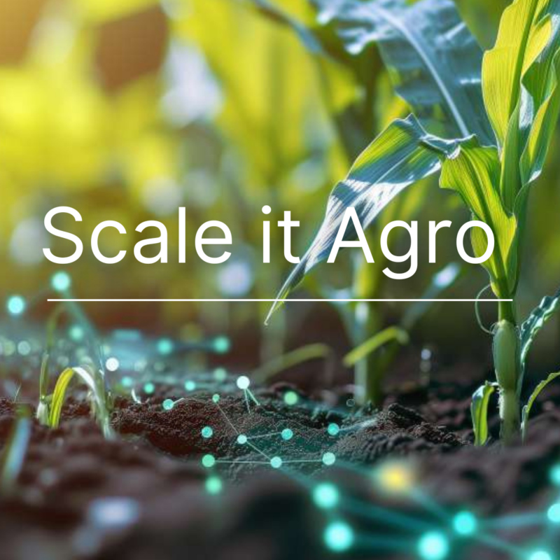 2025 Agro Carrousel 1