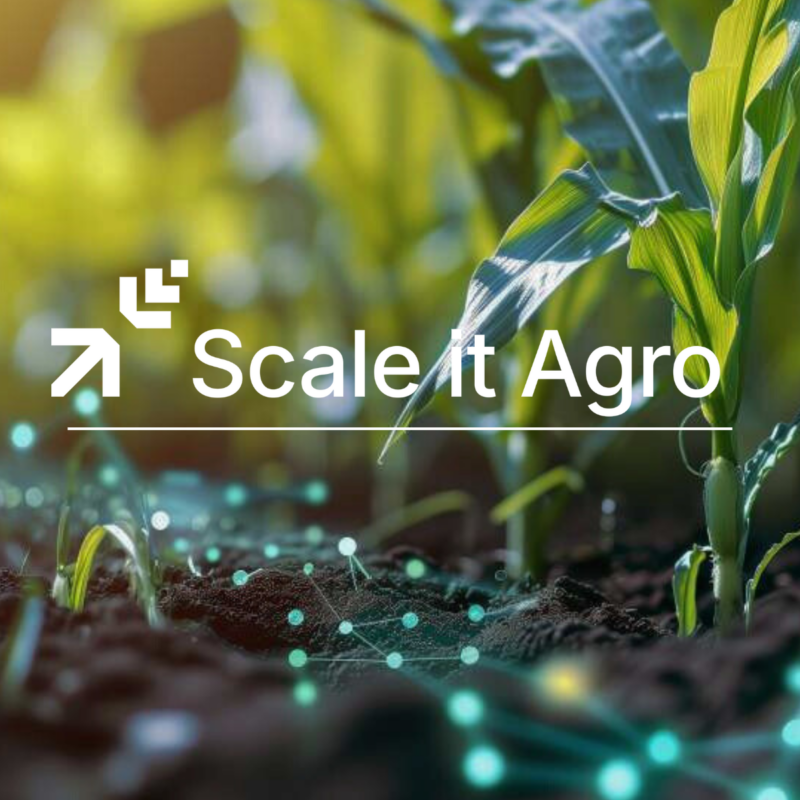 Scale it agro 2026 program accelerator